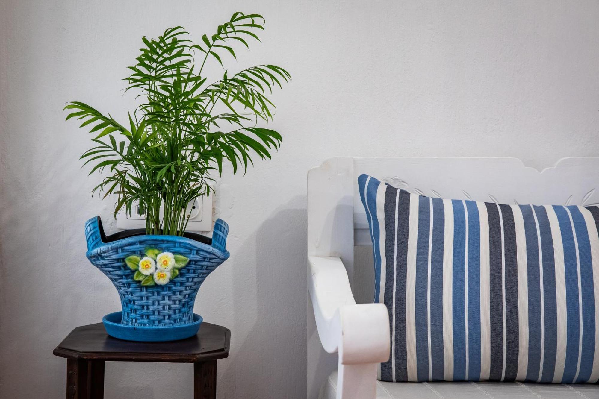 Aikaterini'S House Apartment สโกเปลอสทาวน์ ภายนอก รูปภาพ