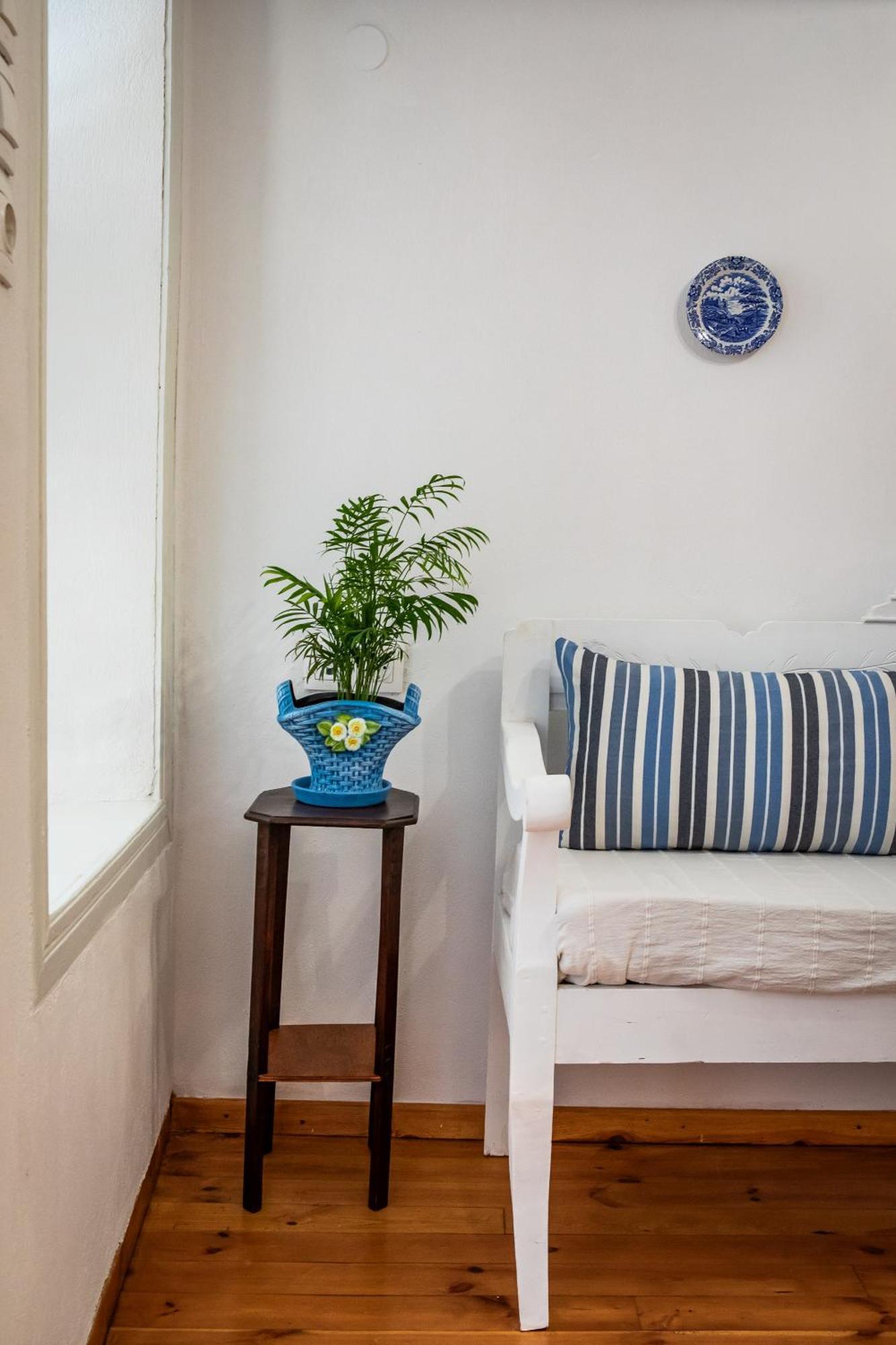 Aikaterini'S House Apartment สโกเปลอสทาวน์ ภายนอก รูปภาพ
